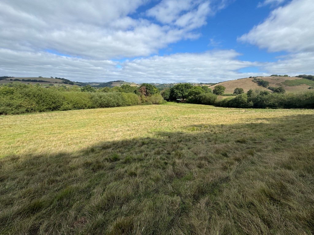 Lot: 41 - TWO AND A HALF ACRES WITH STABLES AND OUTBUILDING - General view of the paddock 1